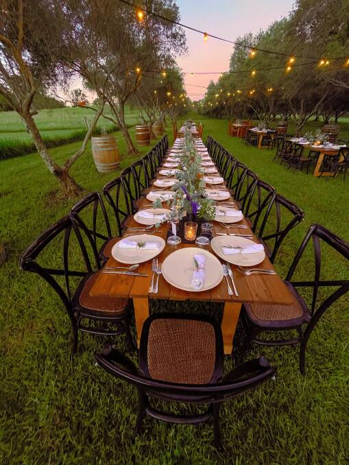 Dining in the olive grove. Picture: Brad Grey Smith Photographer