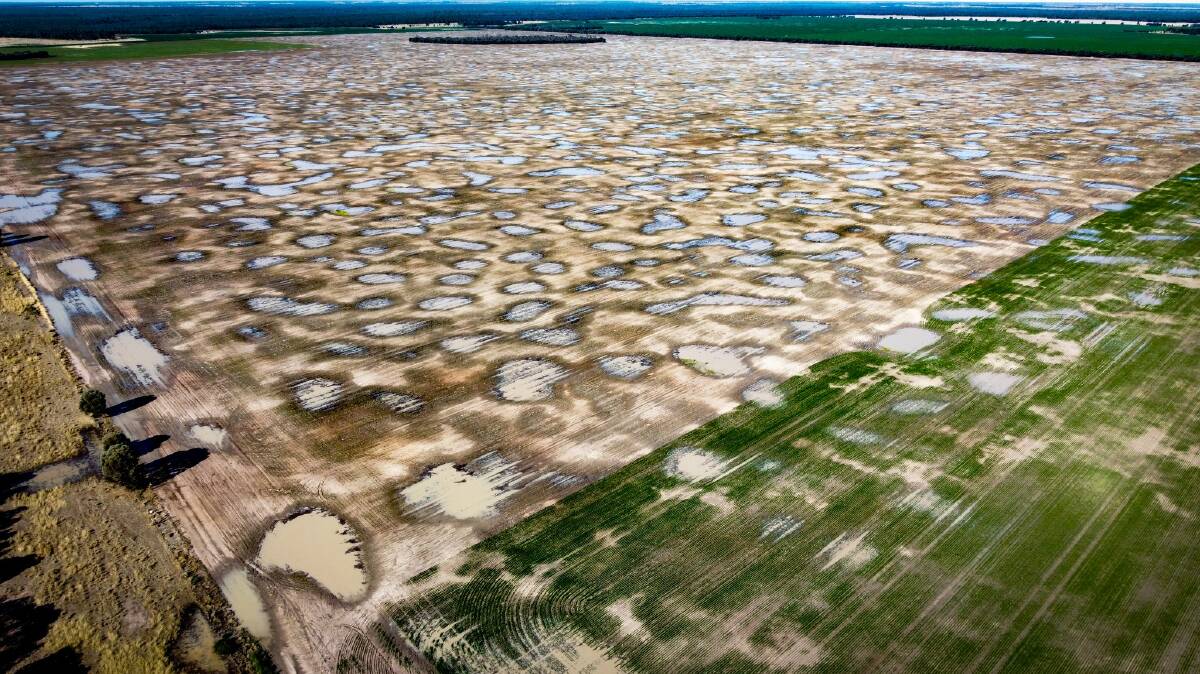 Melon holes mark the majority of the country. Picture by Jake Hamilton
