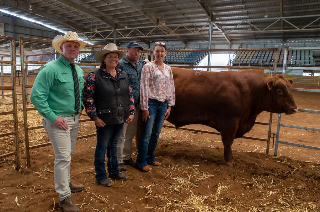 RED HOT: Colby Ede, Nutrien Livestock Toowoomba, vendor Kirrily Johnson-Iseppi, GK Livestock, Dalby, and buyers Peter and Kristine Dingle, Redline Brangus, Eidsvold, with the top priced bull GK Red 26 Quicksilver.
