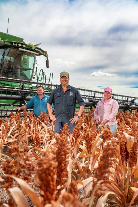 Early plant pays off for sorghum growers as prices hit yearly highs