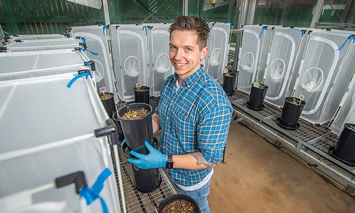 FUNGI FUNDING: Ecologist Dr Adam Frew will receive over $450,000 to further his work into using fungi to enhance plant resistance to insects. Photo: USQ.