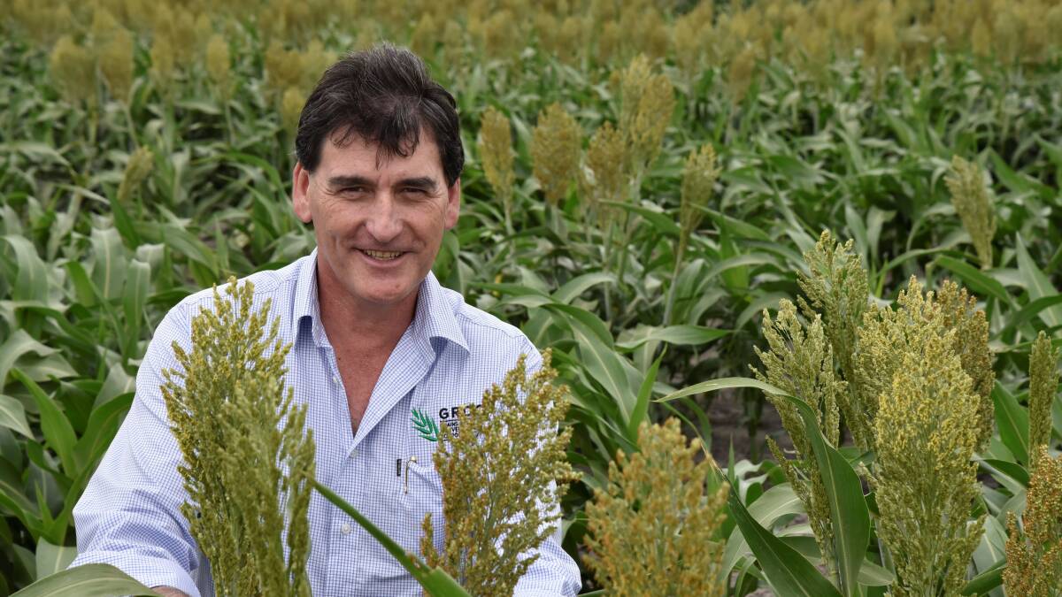 NEW DATA: GRDC NVT manager north Laurie Fitzgerald says the release of the 2021 NVT Sorghum Harvest Report is a significant step in continuing to develop and improve the nation's sorghum production and grower profitability. Photo GRDC.