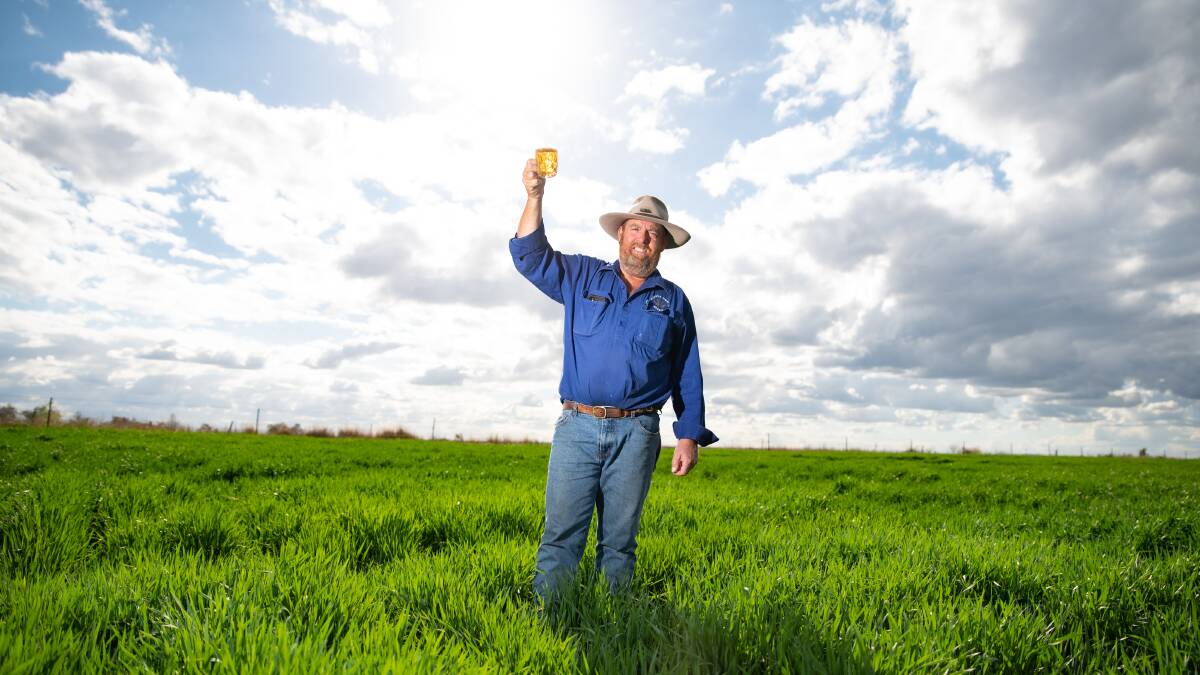 CHEERS: David Peters, pictured in a crop of his Spartacus barley at Hillcrest, Allora, is upbeat about the season thanks to strong grain prices and rainfall. Photo: Brandon Long.