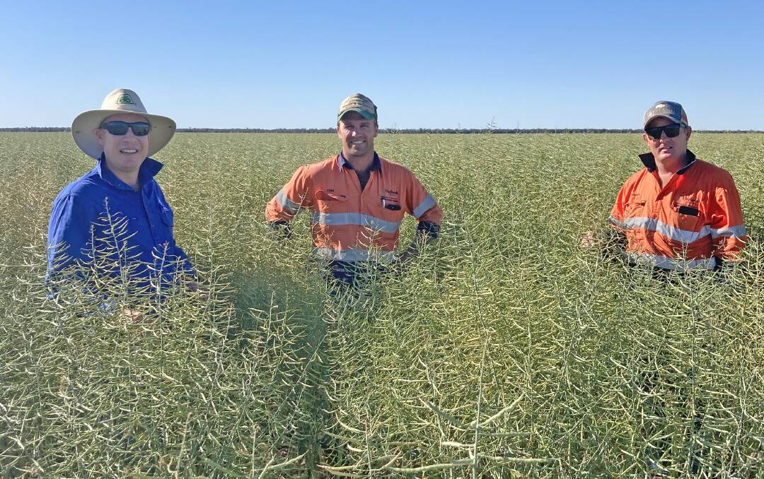 Pioneer Seeds central and Southern Downs, Goondiwindi and Border Rivers territory sales manager Ben Thrift with Daybreak Cropping Group's Tom Killen and Rowan West in their 2021 canola crop at Toobeah. Picture: Supplied