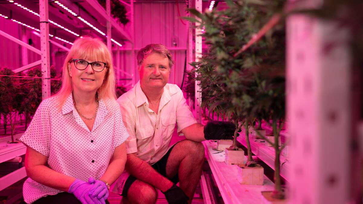 Tracey Perez and Andrew Olley run a high tech cannabis facility near Warwick.