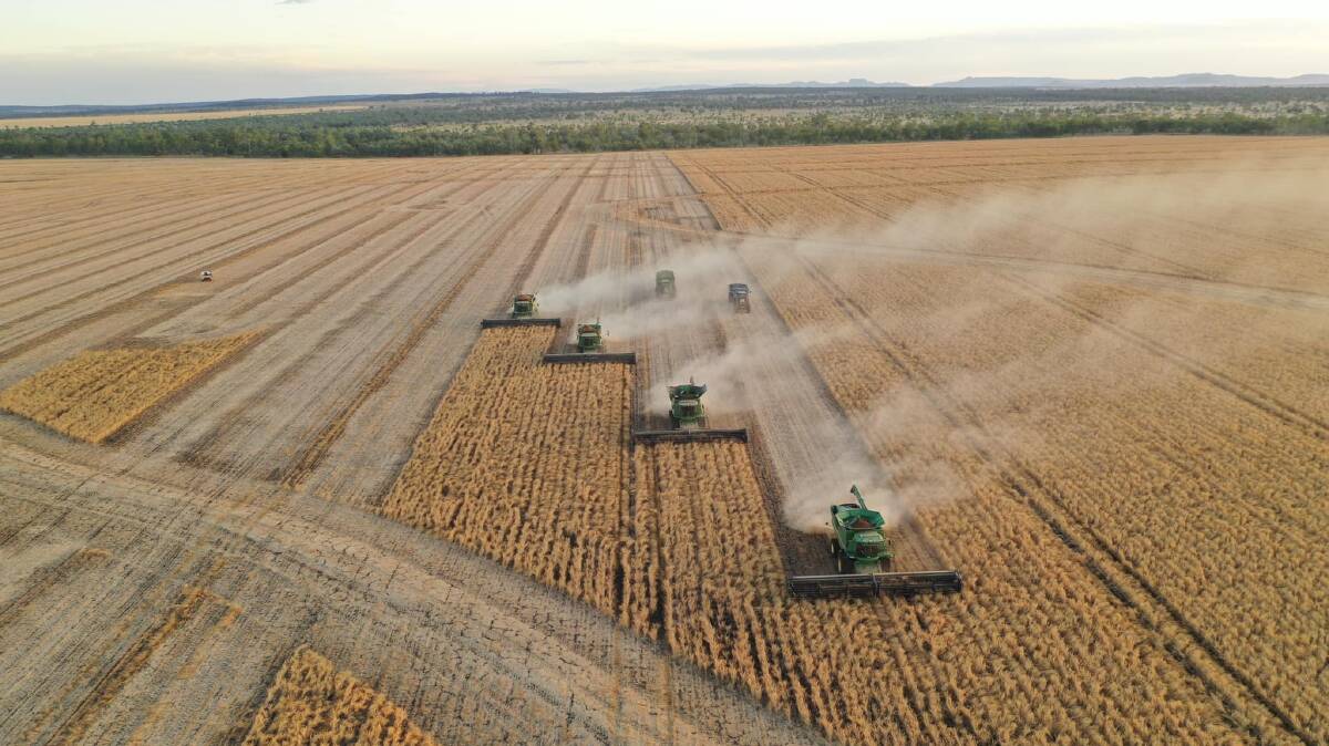 Contractor Jamie Janke, Emerald, says the rain has definitely put a dent in harvest plans for growers across Central Queensland. Picture Jamie Janke