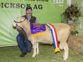 Chris Rubie, Sovereign Poll Dorsets, Warwick, with his champion of champions ram 7/22. Pictures: Brandon Long