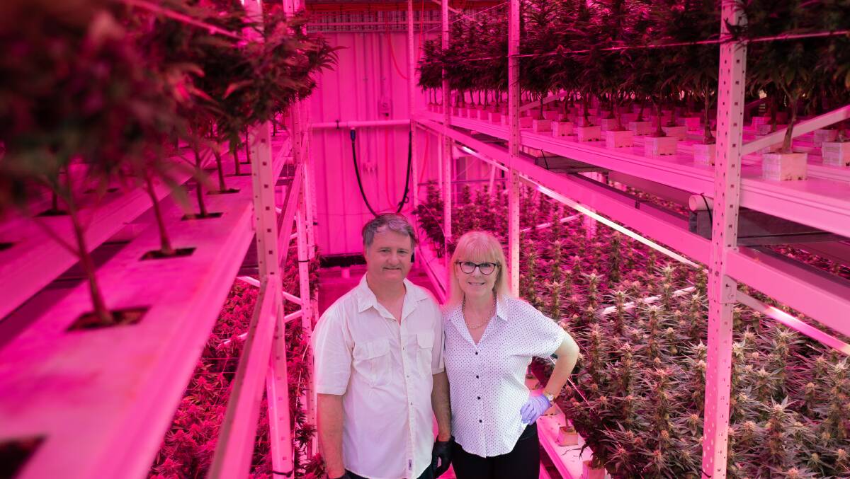 Medicinal Harvest founders and owners Andrew Olley and Tracey Perez are on a mission to grow the Australian industry.