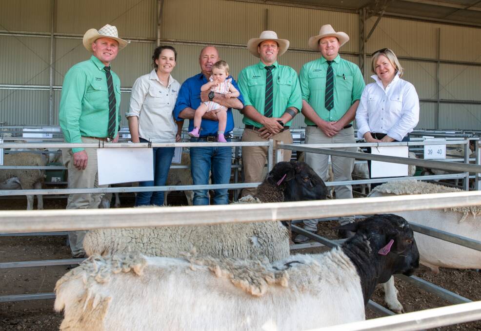 Colby Ede, Nutrien Toowoomba, Sophie Madge, David Curtis and Daphne Madge, Bellevue, Andrew Costello, Nutrien Toowoomba, Gus Foott, Nutrien Charleville, and Robbie Curtis, Bellevue. The top-priced ram (front) was bought by Peter and Blain Sargood, Rumleigh, Tambo for $8500.