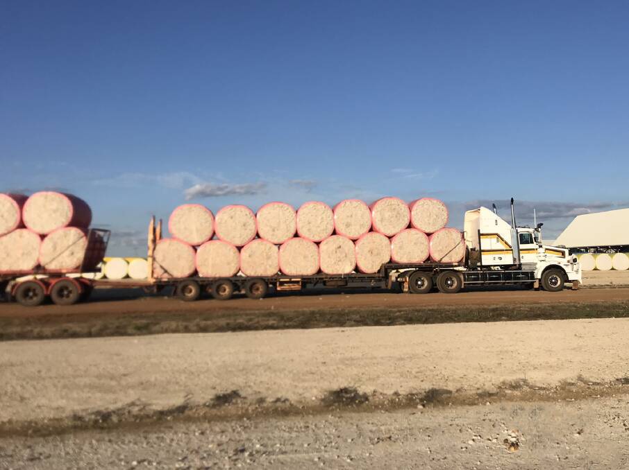 LONG HAUL: A road train loaded with cotton modules from Tipperary Station is ready to be unloaded at Dalby. Picture: Contributed.