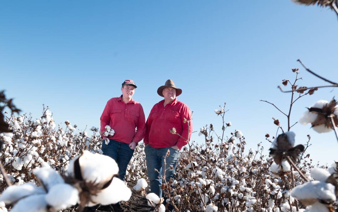 Josiah and Rob Kingston, Grasstree, Yandilla, need five weeks of dry to get their cotton, sorghum and mungbean crops off. Picture: Brandon Long