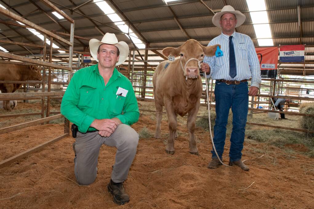SALE TOPPER: Vendor Roderick Binny, Glenlea Beef, Coffs Harbour, with the top priced female, Glenlea Adwana 14TH (P) (R/F), which sold to Galston Acadia Rural Services, Aberdeen. Also pictured is James Dockdrill, Pinedock, Casino. Photos: Brandon Long 