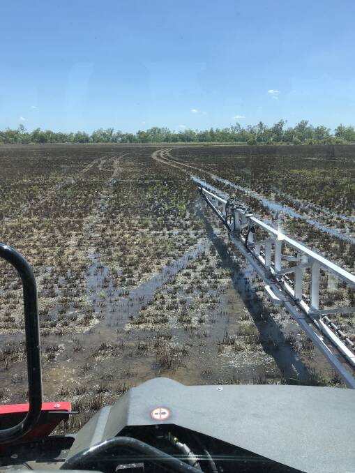 A subsided area of the Ronnfeldts' paddock captured on December 15, 2021. The farmers say this was 15 days after the last rain and the rest of the paddock was dry enough to run the spray rig across.