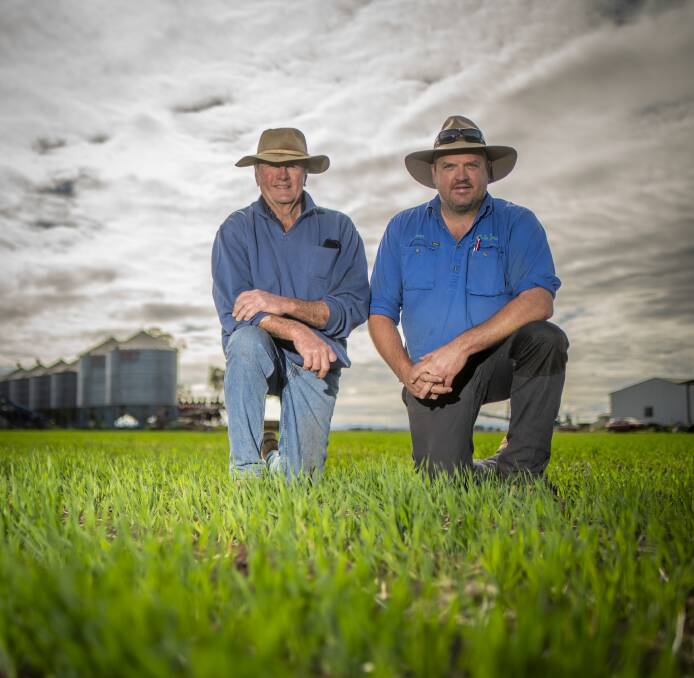 Queensland winter crop 2023: mixed fortunes across regions | Queensland ...