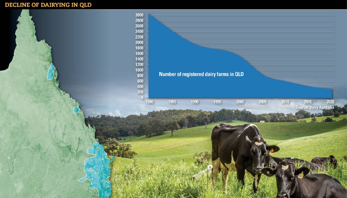 Queensland dairy farm numbers drop 90pc in four decades | Queensland ...