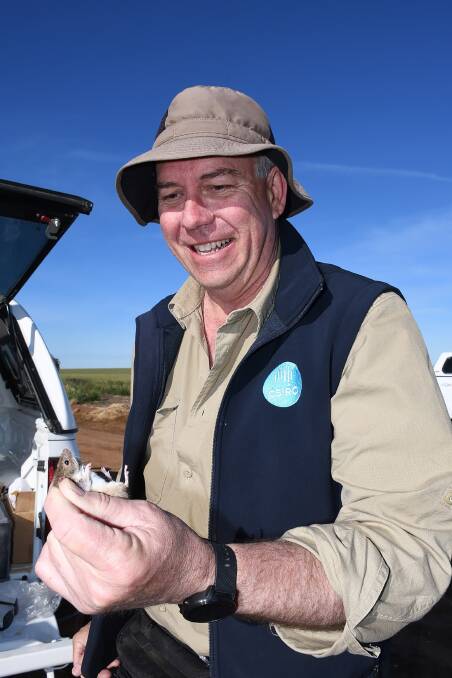 AWARD WINNING: CSIRO researcher and mouse expert Steve Henry has taken out the GRDC Northern Seed of Light Award for his commitment to reducing the impact of mouse plagues across Australia's grain growing regions.