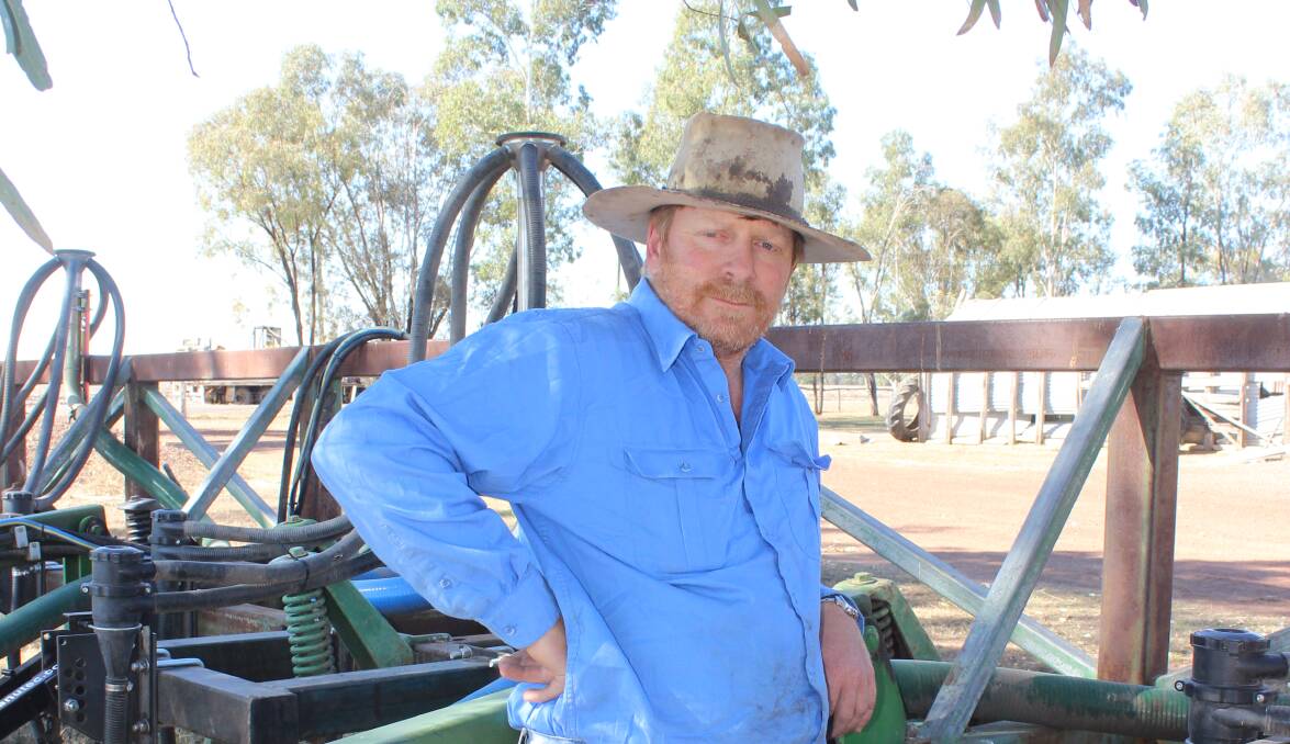 GOOD PROSPECTS: AgForce grains president Brendan Taylor says sorghum crops across the Downs are showing great potential.
