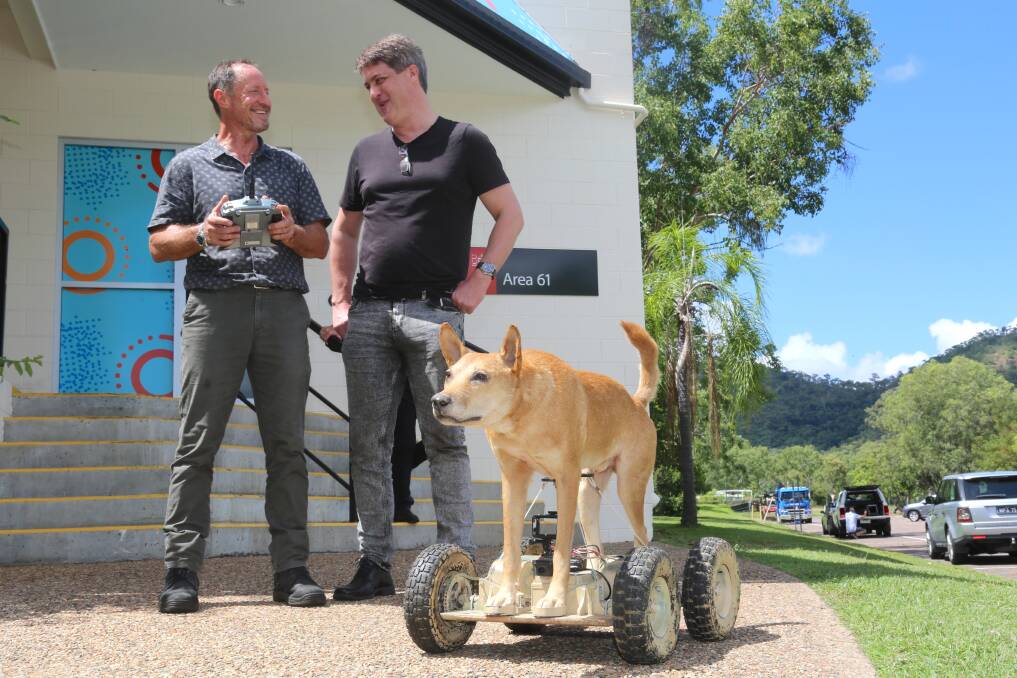 JCU Area 61 equipment and design specialist Wayne Morris (left) and embedded systems specialist Russell Warburton with a remote control dingo used to encourage protective behaviours in young cow mothers. Picture by JCU