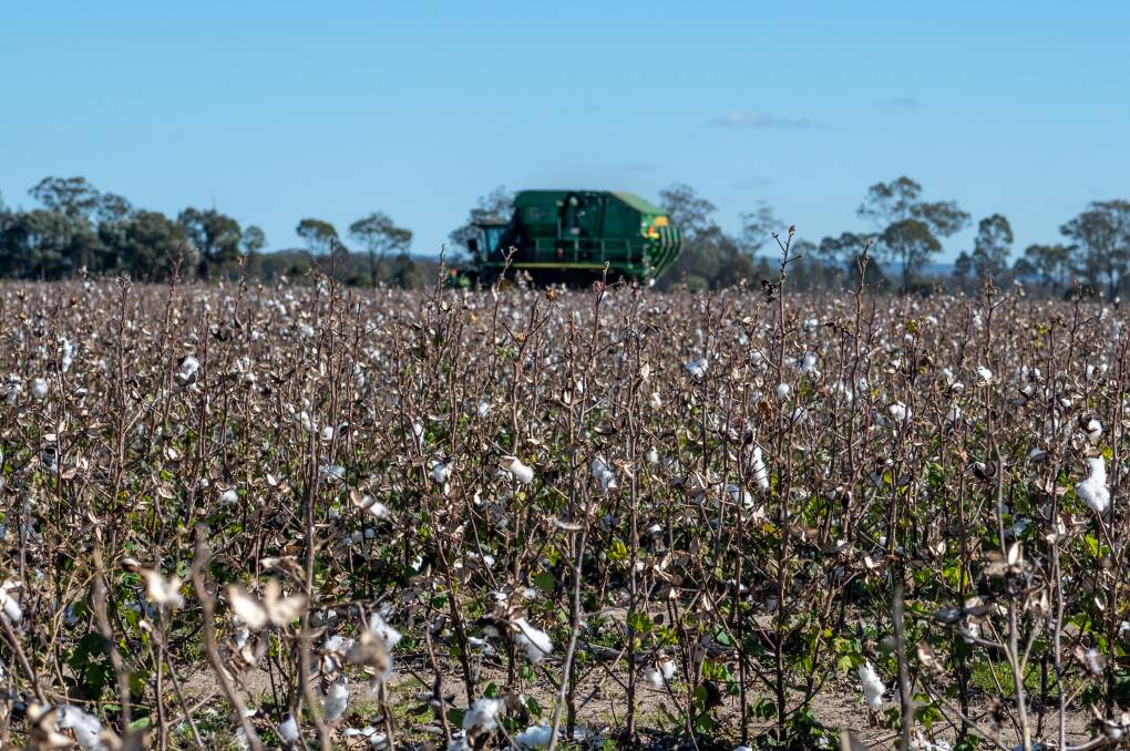 A faulty vehicle controller on his cotton picker prompted Jondaryan farmer David Loughnan to hatch a cunning plan. Picture: Brandon Long