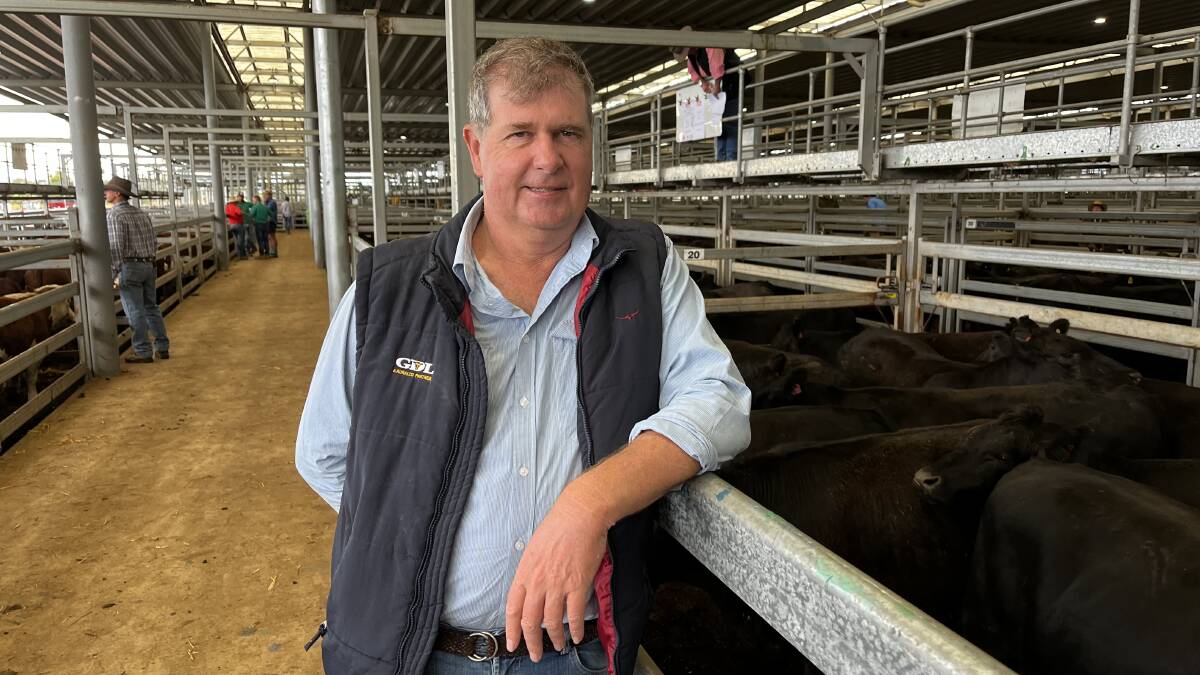 HEADING NORTH: GDL Toowoomba agent Jeff Garland attended four weaner sales in Victoria over three days, finishing with 550 head. Photo: Bryce Eishold