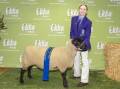 Sheep handler's overall winner Emma Haupt, Calvary Christian College, Carbrook, with Suffolk ewe Coco Chanel. Picture: Brandon Long