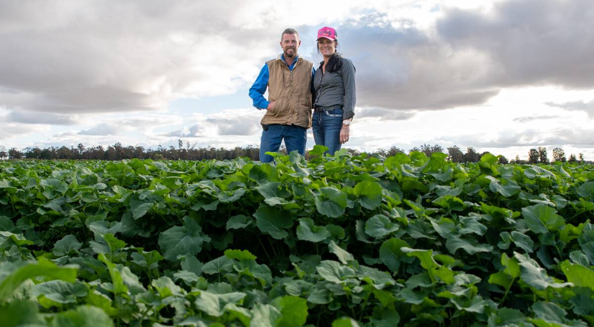 Krinke Farms manager Steve Shorter and wife Amanda in Ross Krinke's crop of canola at Willora, Grays Gate. Picture: Brandon Long