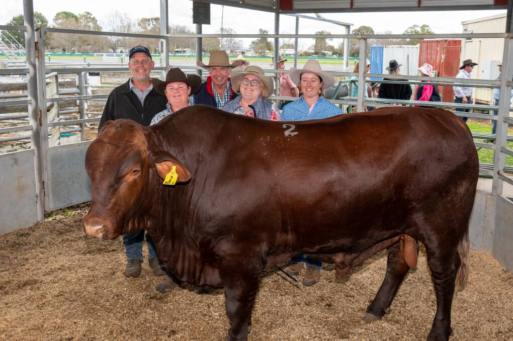 Vendors Luke and Tanya Hoare, Rose Oak, Flagstone Creek, with buyers Alan, Kelly and Ainsley Walker, Clearview, Bell, and top-priced bull, Rose Oak Sharp Shooter. Picture by Brandon Long