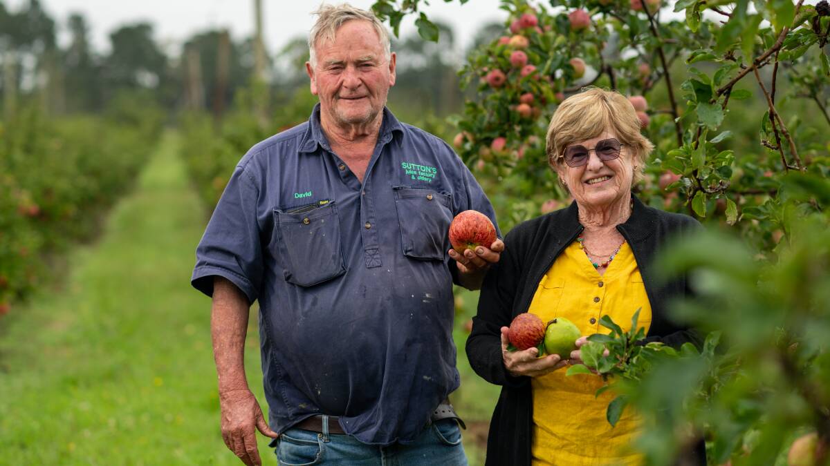 Suttons Juice Factory, Cidery and Cafe owners David and Ros Sutton, Thulimbah, are basking in the greenery again after years of drought. Photo: Brandon Long