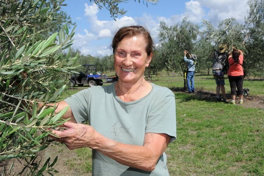 Owner Gesine Owen in the olive groves. Picture: File