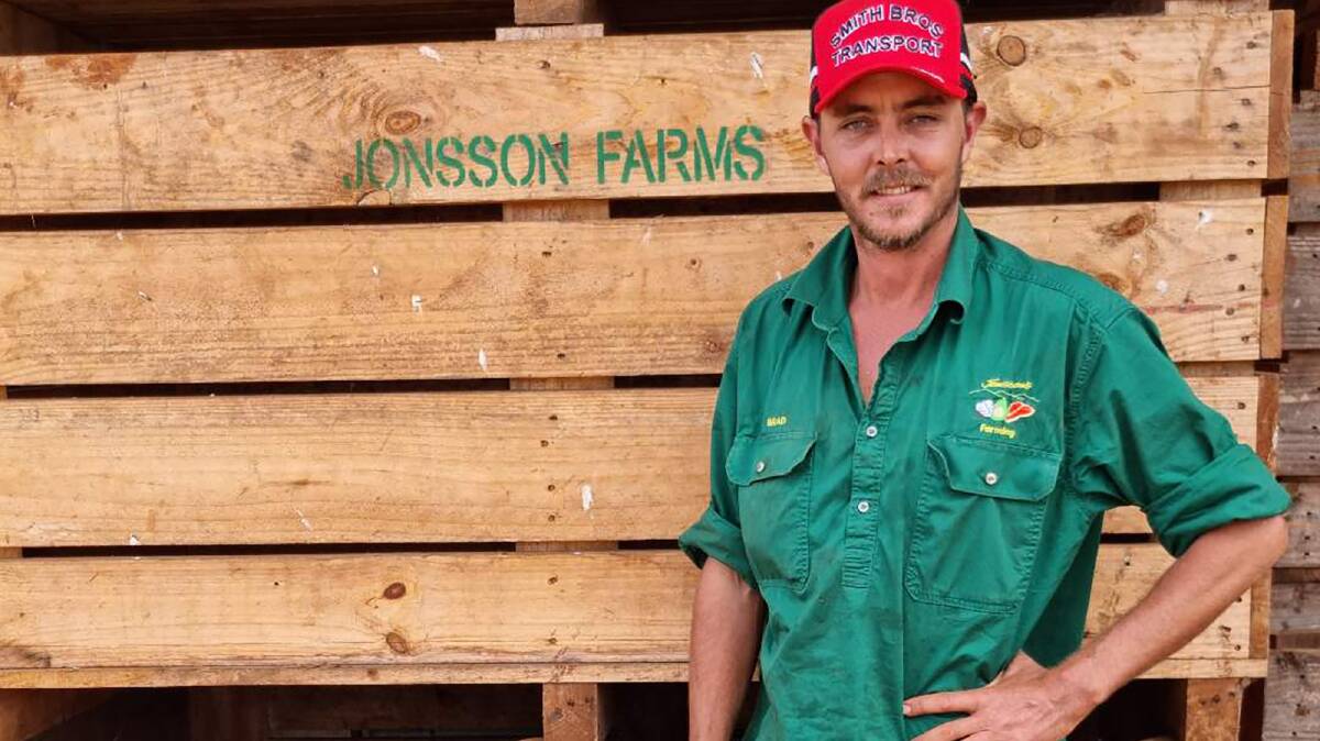 GOOD START: Ravenshoe farmer Brad Jonsson has planted their second ever cotton crop and things are shaping up well. Photo: Supplied