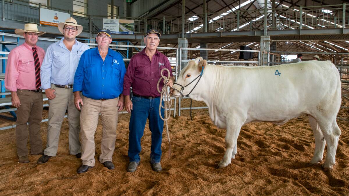 SHARING: Michael Smith, Elders Toowoomba, Jordan Arthur, Echuca, Jon Weeks, Warilla Charalois, Echuca, who bought a half share in Charnelle Shelley 32 (AI) (P), and vendor Graham Blanch, Charnelle Charolais, Upper Tenthill.