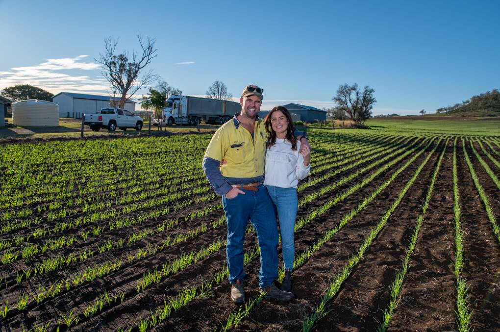 The green mile: Pilton Valley farmers Michael Ryan and fiancee Alyson Hackett are aiming for a yield of five tonnes per hectare from this barley crop. Picture: Brandon Long 