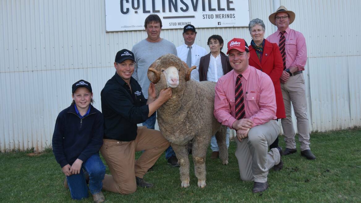 Collinsville stud's Harry and Tim Dalla hold the $70,000 sale topper with buyer Reg Parker, Pingelly, WA, Collinsville's George Millington, Nita Parker, Lynne Parker, Elders state manager Bernard Seal and Elders stud stock's Alistair Keller.