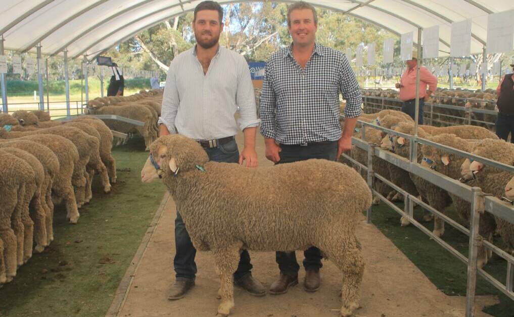 Buyer Jack Sykes, VHS Agriculture, Humula, NSW, and Wallaloo Park stud co-principal Trent Carter, Marnoo, Vic, with Wallaloo Park's top-priced ram, 22-1445, which sold for $18,000. Picture by Philippe Perez.