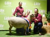Amanda, Andrew, Jack and Charlotte Vernon with their Dorset Down interbreed champion ewe. Picture: Clare Adcock