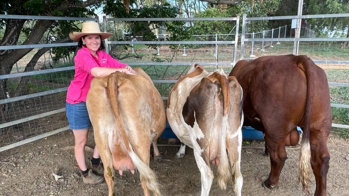 Raising house cows is one of the topics Ms Crocker discusses on her podcast. 
