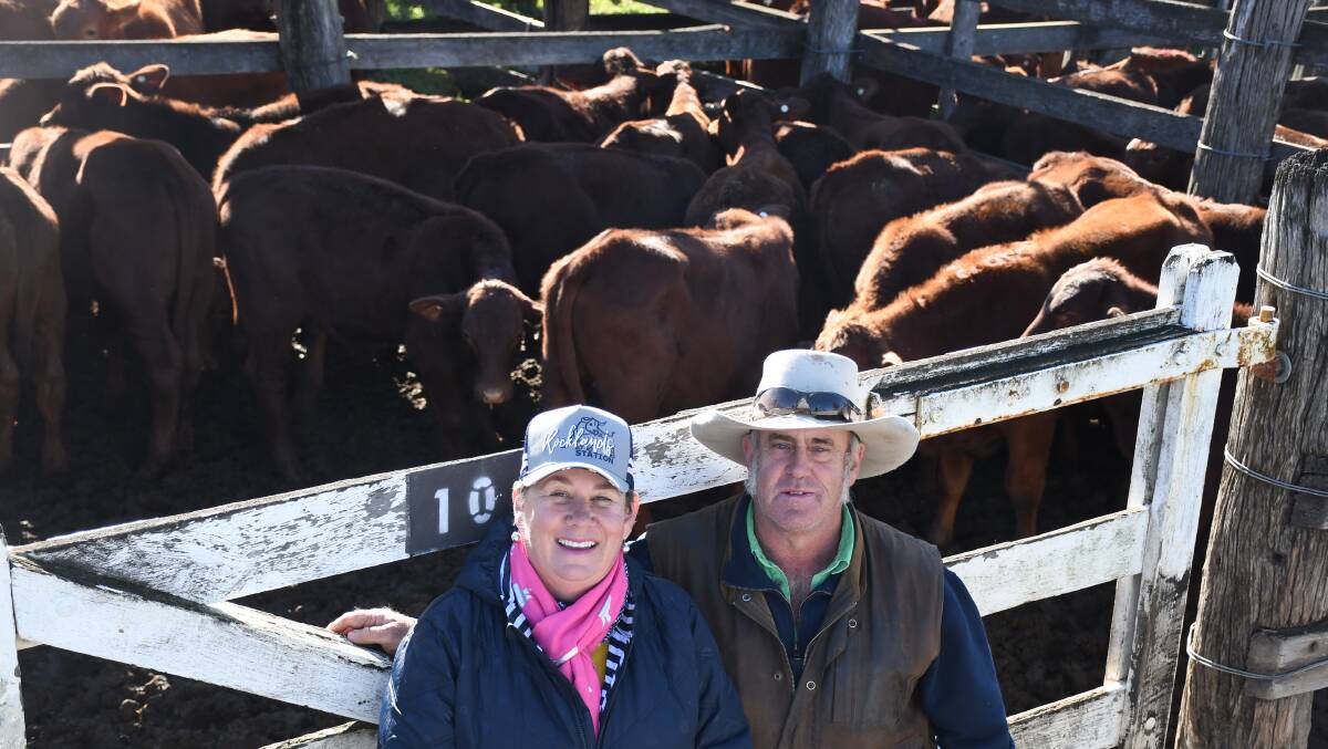 Scott and Margie Madigan with their pen of Santa Gertrudis steers which reached 792.2c/kg. Pictures: Clare Adcock