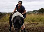 Selina Carey and one of her Wessex Saddleback sows. Photos: Clare Adcock