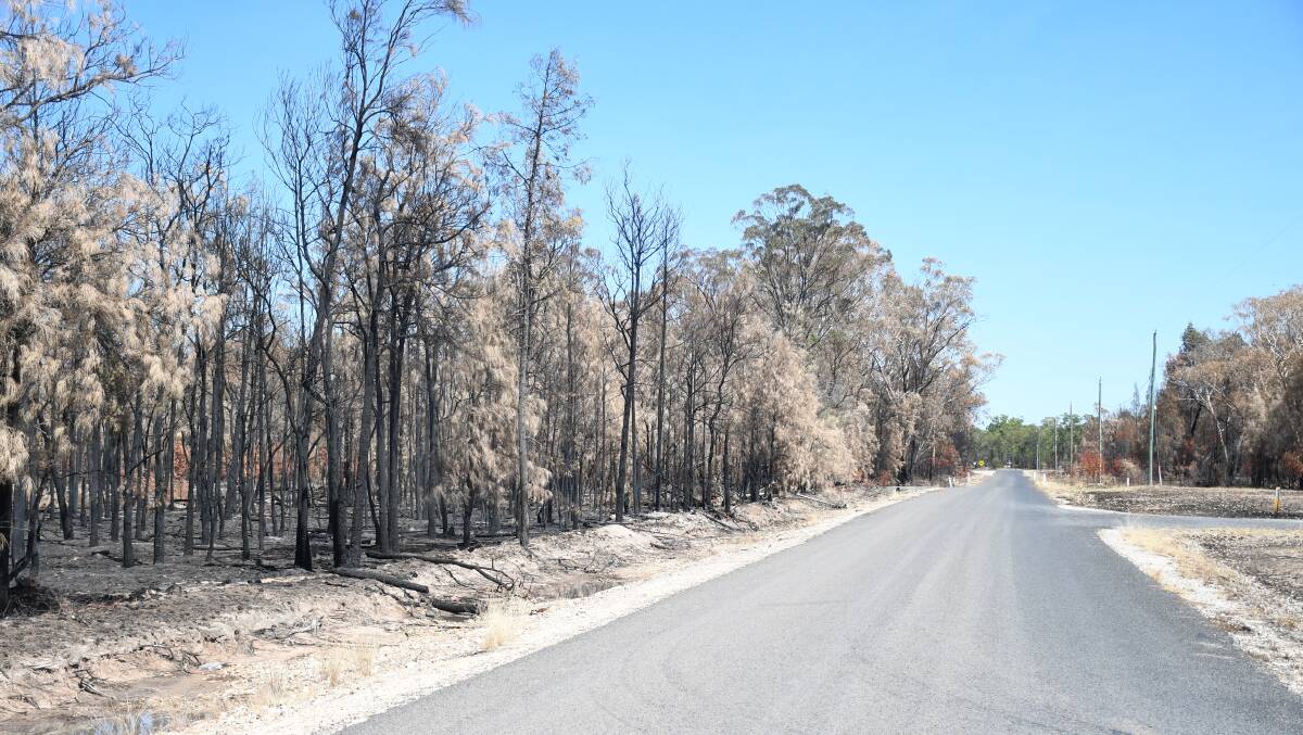 The scorched country stretches for kilometres across the Tara district. 