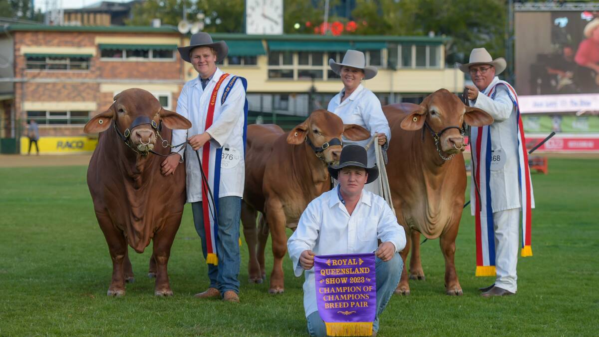 Ryan, Carissa, Jason and Brendon Childs from Glenlands J Droughtmasters, Dingo, won the interbreed pairs contest. Picture: Lucy Kinbacher