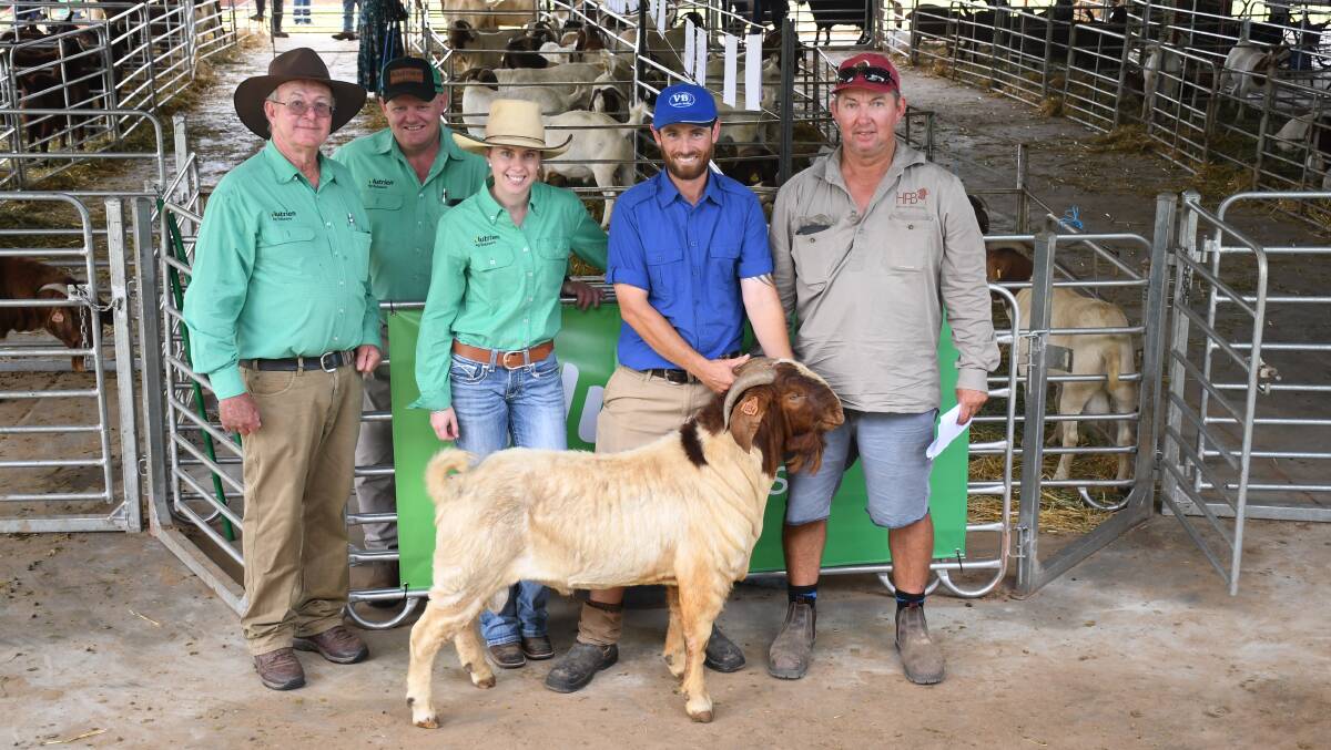 Phillip Manns, John Settree and Beth Stuhmcke, Nutrien, vendor Thomas Youlden Valley Boers, and buyer Michael Stanford, Hendon Park Boers, with the $3000 buck. Pictures: Clare Adcock