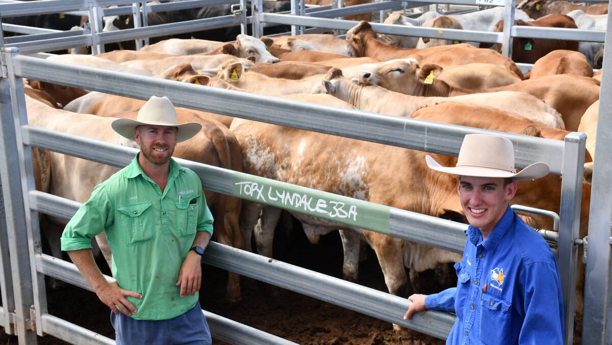 Vendor Lachy Jensen and TopX agent Billy Swain with a pen of the Lyndale steers, which sold for $1753/head. Pictures: Clare Adcock
