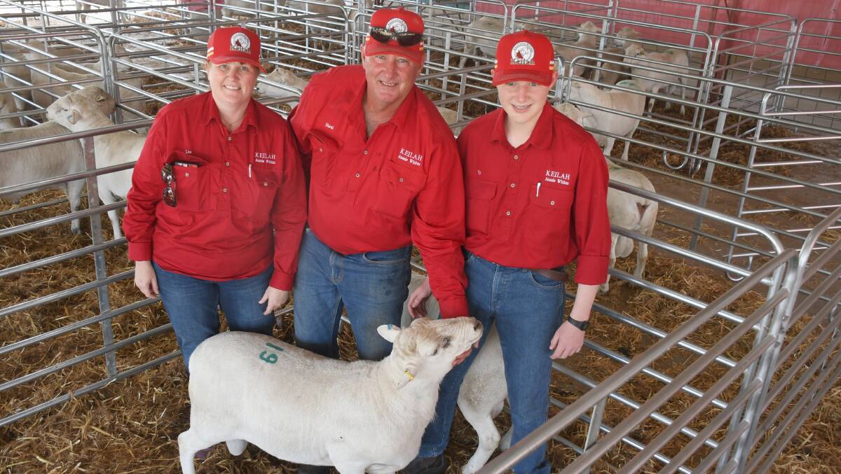 Lisa, Harel and Ty Hollingsworth of Keilah Australian Whites stud with their top-priced ram which sold for $1350 on Thursday. Pictures: Clare Adcock