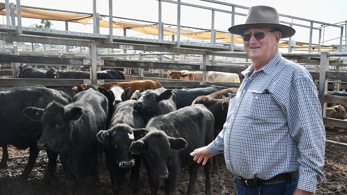 Roma vendor Arthur Seaby was very pleased with the sale of his Angus cross heifers, which sold to 636.2c/kg and $1566 per head. Picture: Clare Adcock