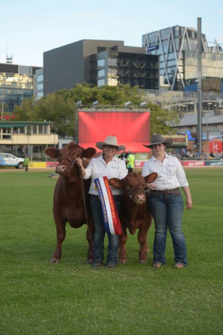 Kirrily Johnson-Iseppi and Brooke Iseppi with the interbreed winning cow and calf. 