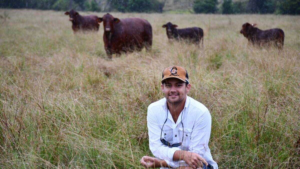 Burnside manager Mitch Davis has a passion for agriculture and breeding high quality cattle. Photos: Clare Adcock