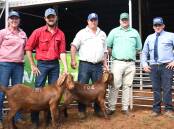 The record-breaking doe with vendor Emma Patterson, buyer Carl Green, vendor Jake Berghofer, and agents Gus Foott and Anthony Hyland.