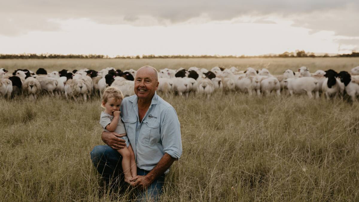 Bellevue stud principle David Curtis with grandaughter Daphne Madge in the paddock with the Bellevue sale rams.