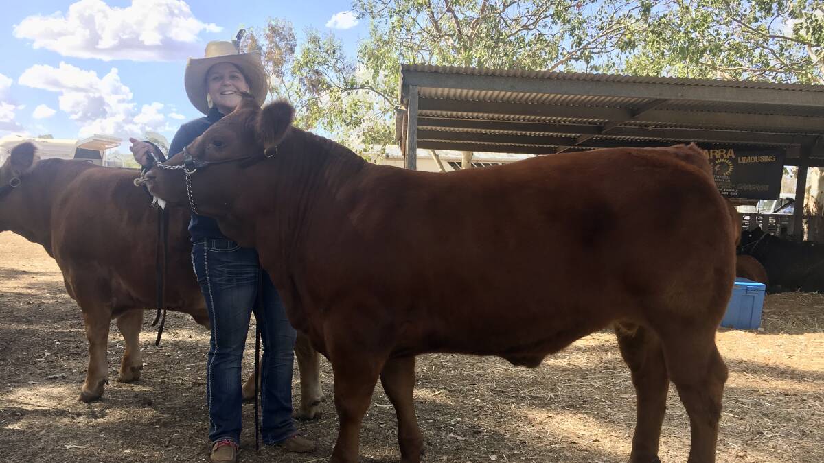 Peta O'Dwyer with on of her show steers. Photo: Supplied