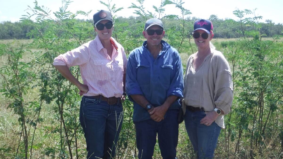 The Leucana Networks Bron Christensen with Brett and Suzanne Gill at Malilangwe,
Douglas Daly NT.